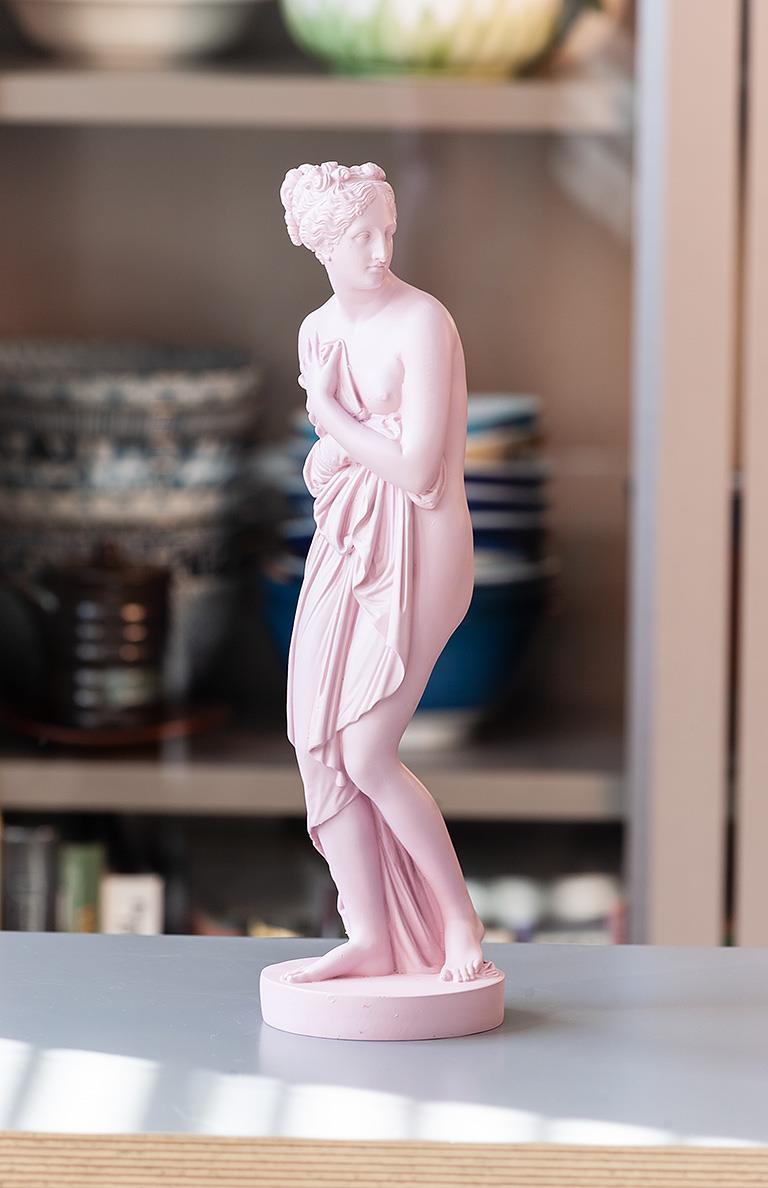 Pink Venus Woman