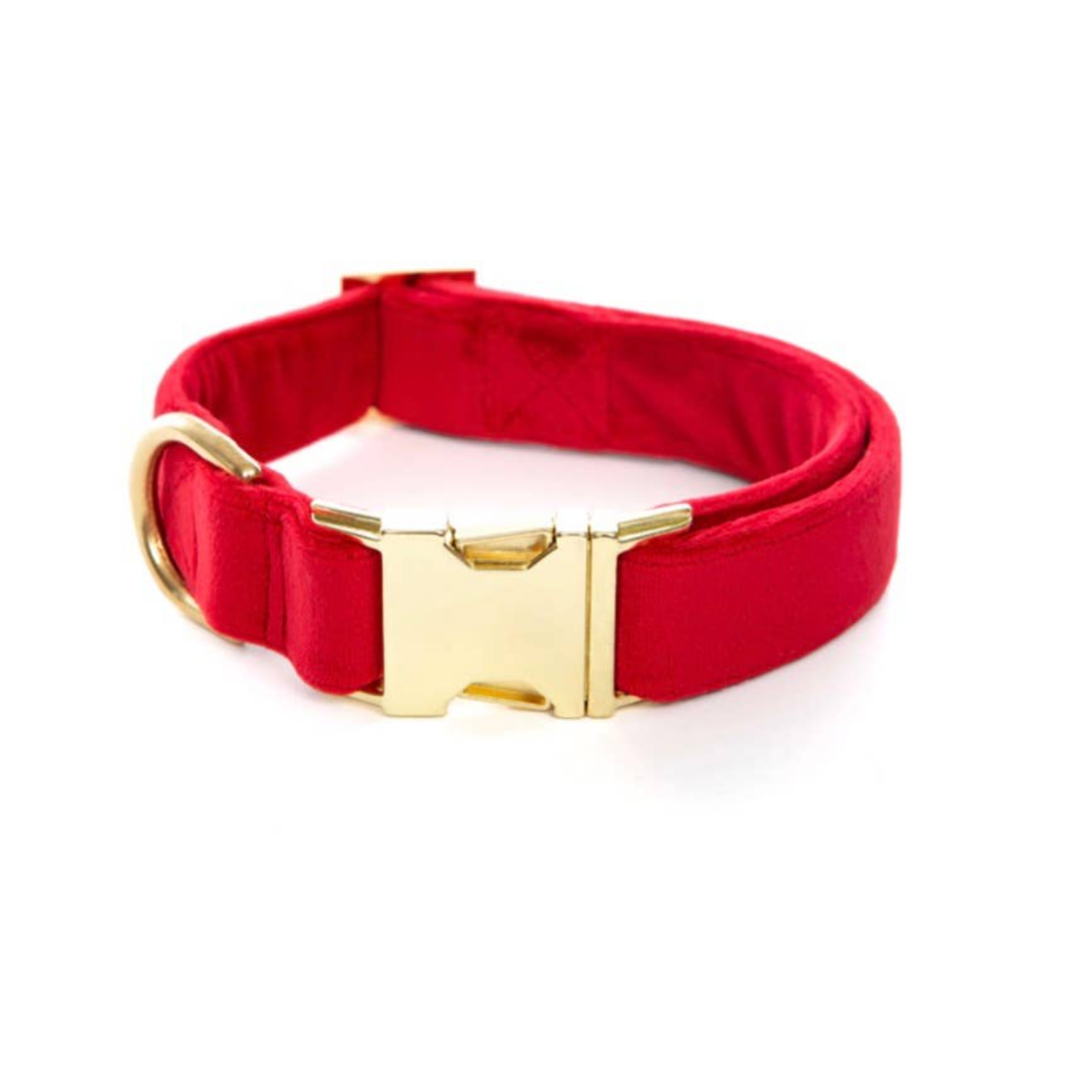 Cranberry Velvet Dog Collar