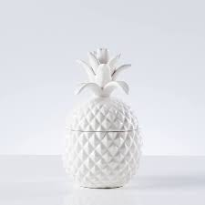 Pineapple Canister