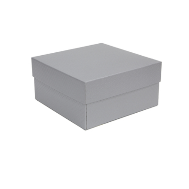 Silver Gift Box Plus Satin Ribbon